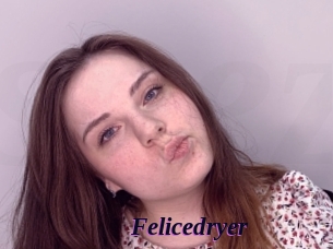 Felicedryer