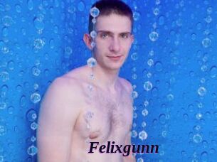 Felixgunn