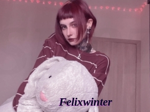 Felixwinter