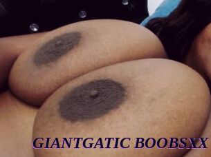 GIANTGATIC_BOOBSXX Spezial Sexcam