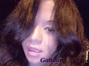 Gattina