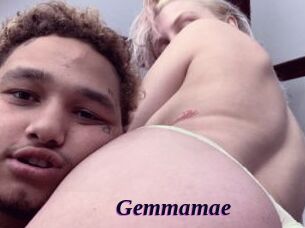 Gemmamae