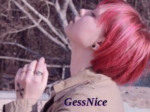 GessNice