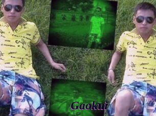 Gaokui