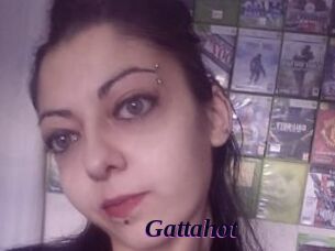 Gattahot