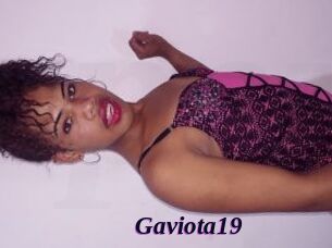 Gaviota19