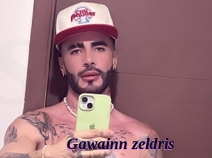 gawainn_zeldris Spezial Sexcam