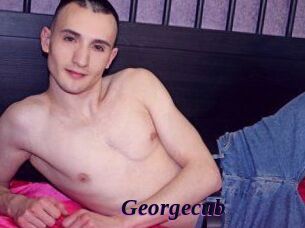 Georgecub