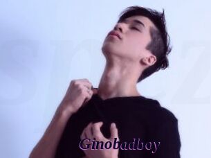 Ginobadboy