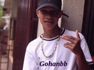 Gohanbb