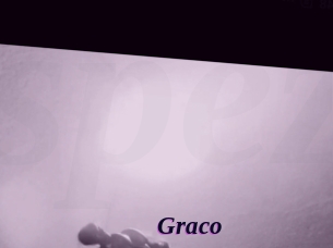 graco Spezial Sexcam