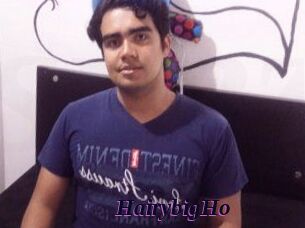 HairybigHo