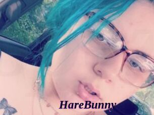 HareBunny