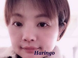 Haringo