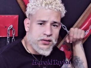 HaroldTaylor Spezial Sexcam