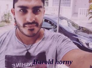 Harold_horny
