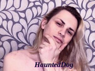HauntedDog