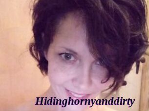Hidinghornyanddirty Spezial Sexcam