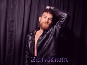 harrybsmdirt Spezial Sexcam