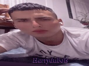 Harrydubois