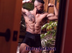 harryjackson Spezial Sexcam