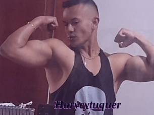 Harveytuquer