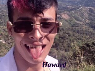 haward Spezial Sexcam