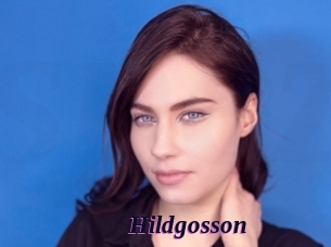 Hildgosson