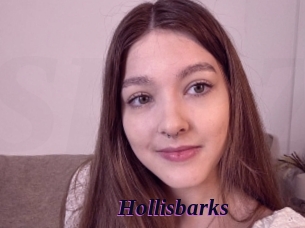 Hollisbarks