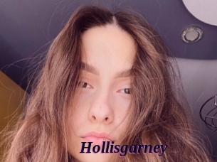 Hollisgarney