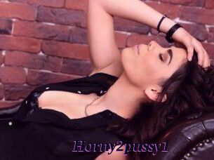 horny2pussy1 Spezial Sexcam