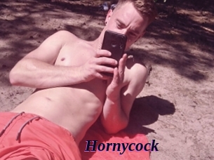 hornycock Spezial Sexcam
