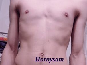 hornysam Spezial Sexcam