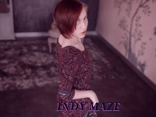 INDY_MAZE