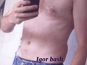 Igor_bash