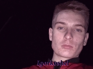 Igorkoshel