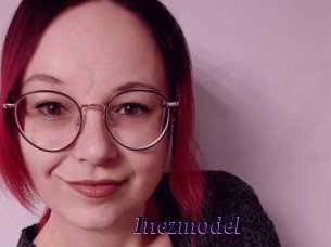 Inezmodel