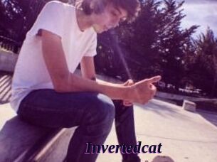 Invertedcat