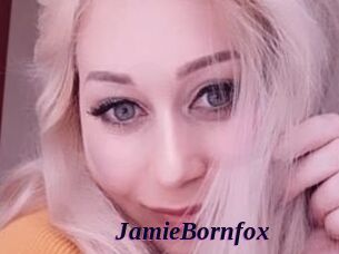 JamieBornfox