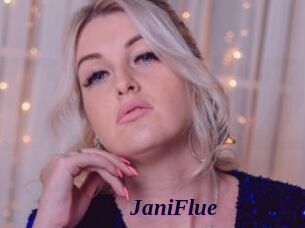 JaniFlue