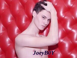 JoeyB0Y