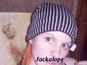 Jackalope
