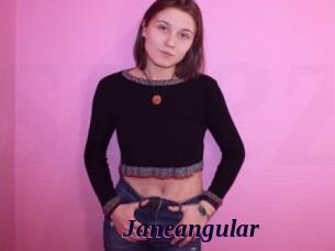 Janeangular