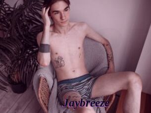 Jaybreeze
