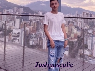 joshpascalie Spezial Sexcam
