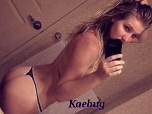 Kaebug