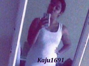 Kaju1691