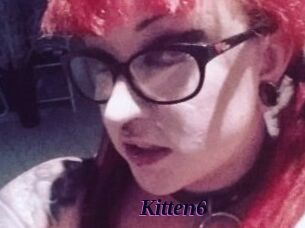 Kitten6