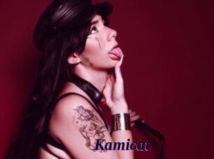 Kamicat