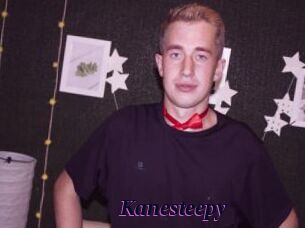 Kanesteepy